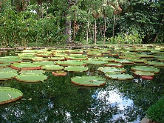 SSR Botanic Garden